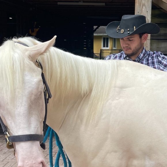 LIVSTAK WESTERN COWBOY, BLACK HAT, 100% LEATHER, Size L, S1LVK01, BALLER - Picture 12 of 12